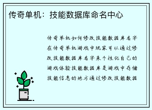传奇单机：技能数据库命名中心